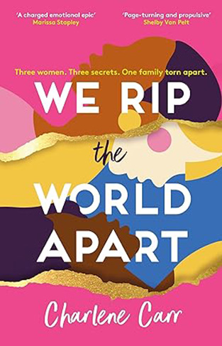 We Rip the World Apart - A Sweeping Story about Motherhood, Race and Secrets